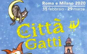 rassegna citta gatti